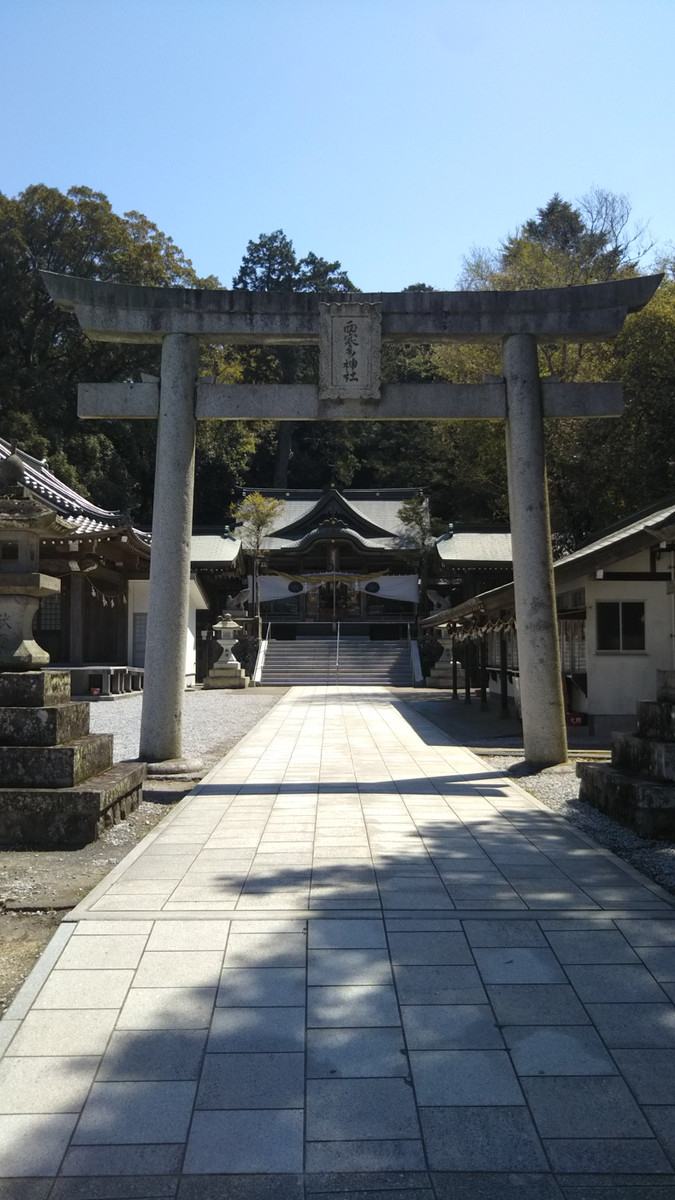 Photo_3