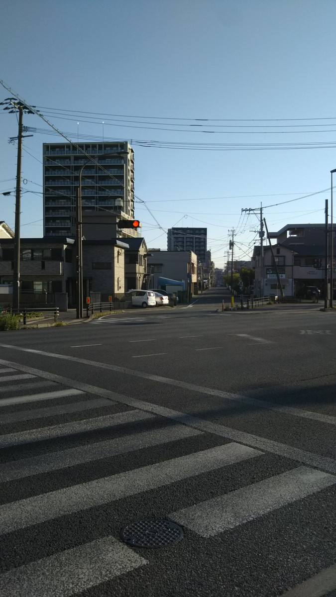 Photo_2