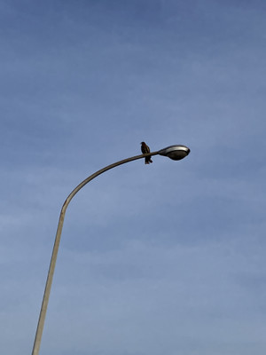 Photo_2 Photo_2